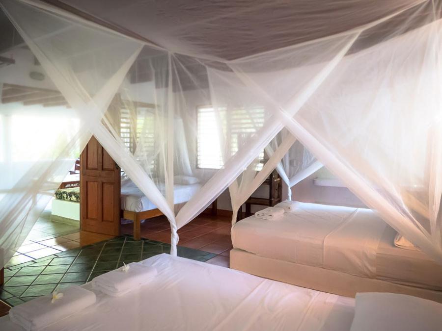 Отель Encanta La Vida Cabo Matapalo Экстерьер фото